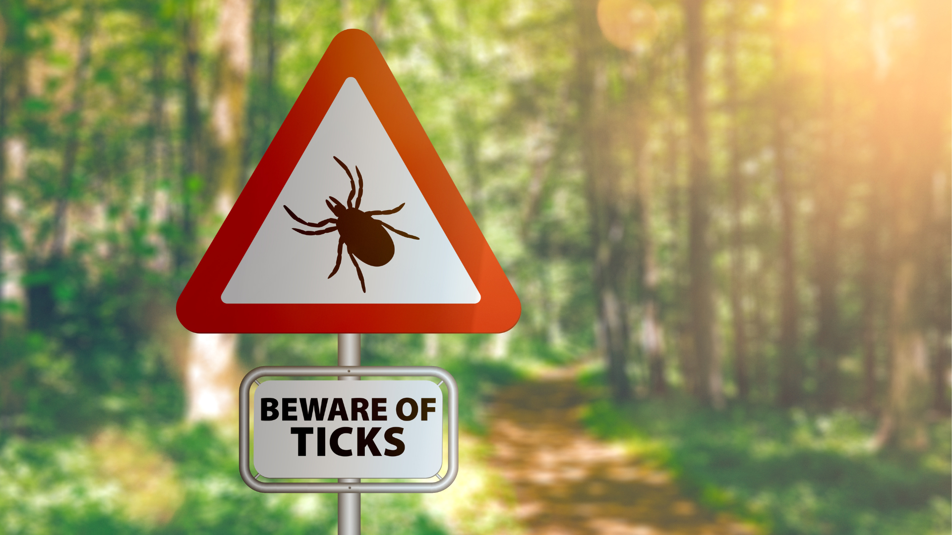 A warning sign with a tick on it stating "Beware of Ticks" in the woods