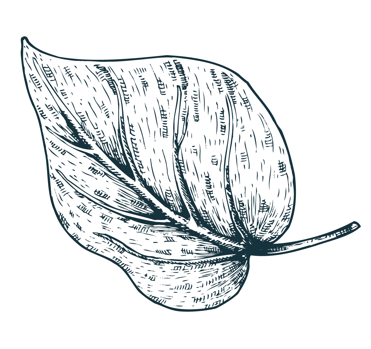 Leaf_icon_2